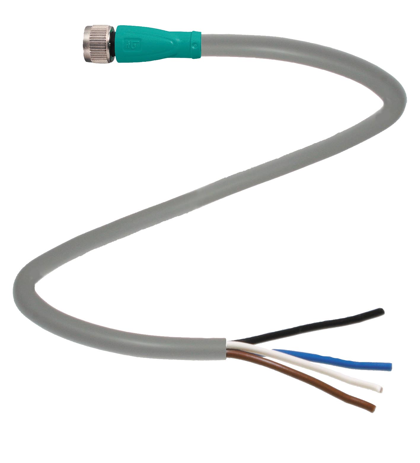 V31-GM-5M-PUR-ABG-Y222310