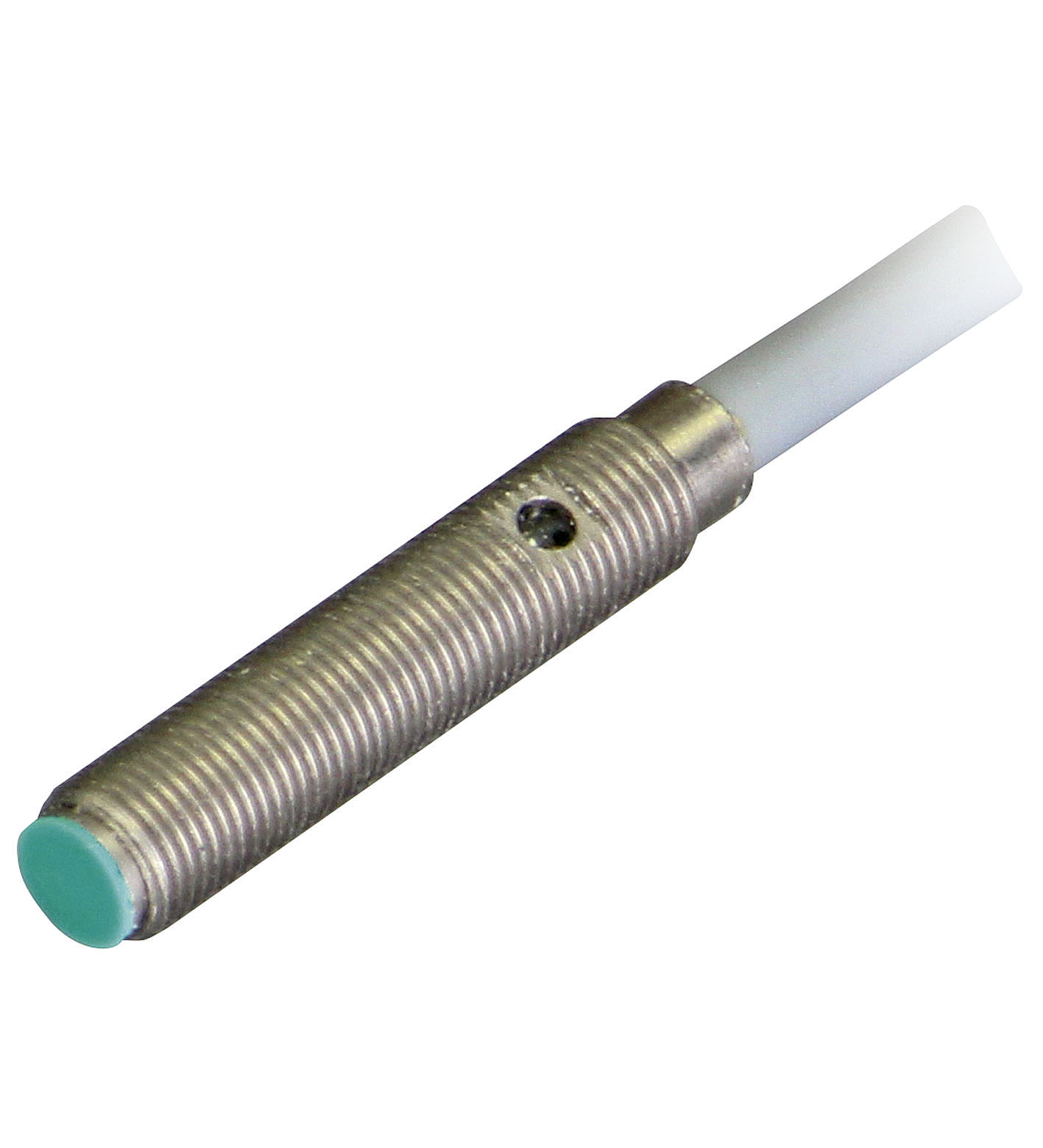 ミチル Mame Kurogouchi / レザーベルト｜ESTNATION ONLINE STORE