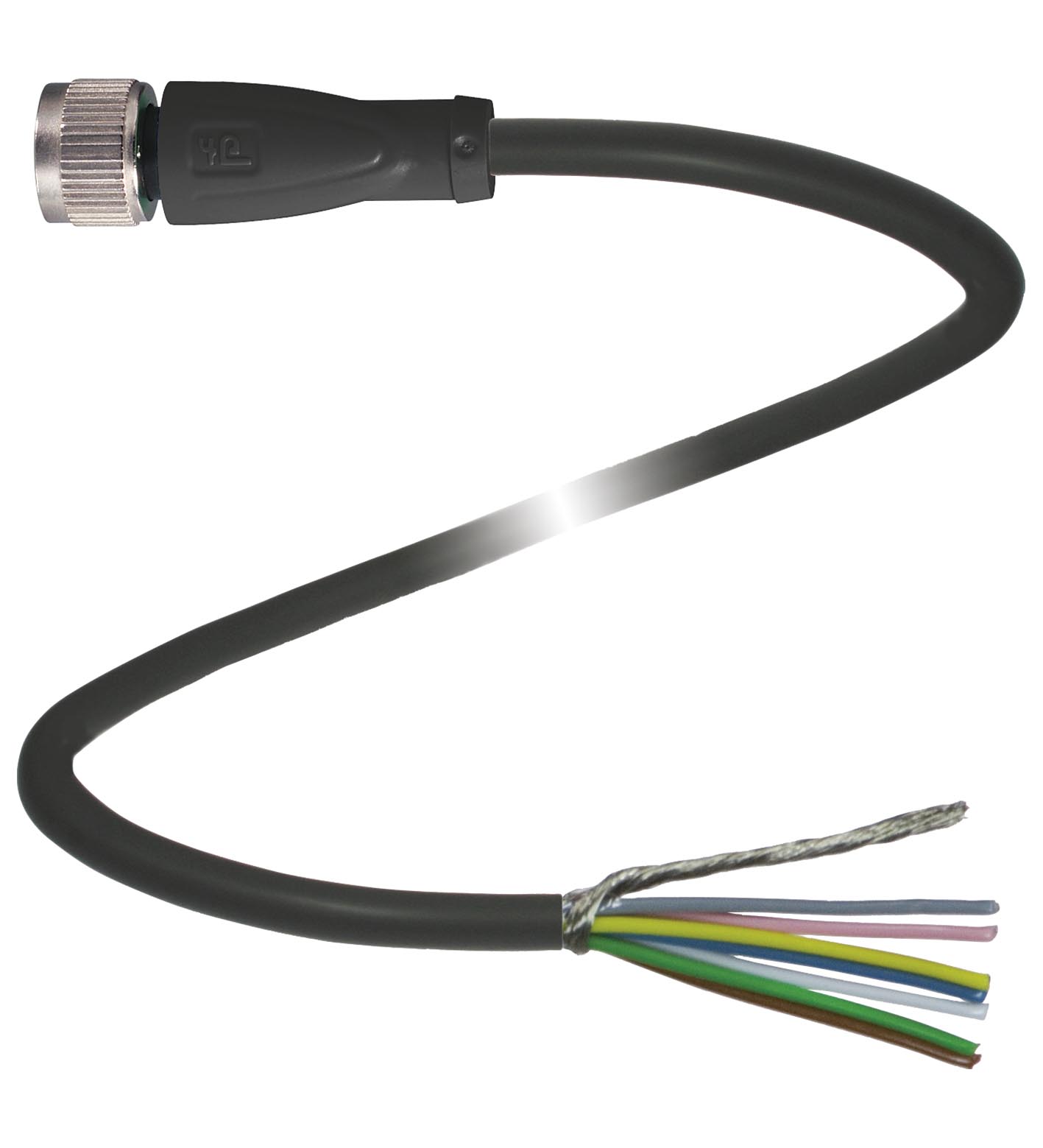 V19-G-0,2M-PUR-ABG-V19-Y