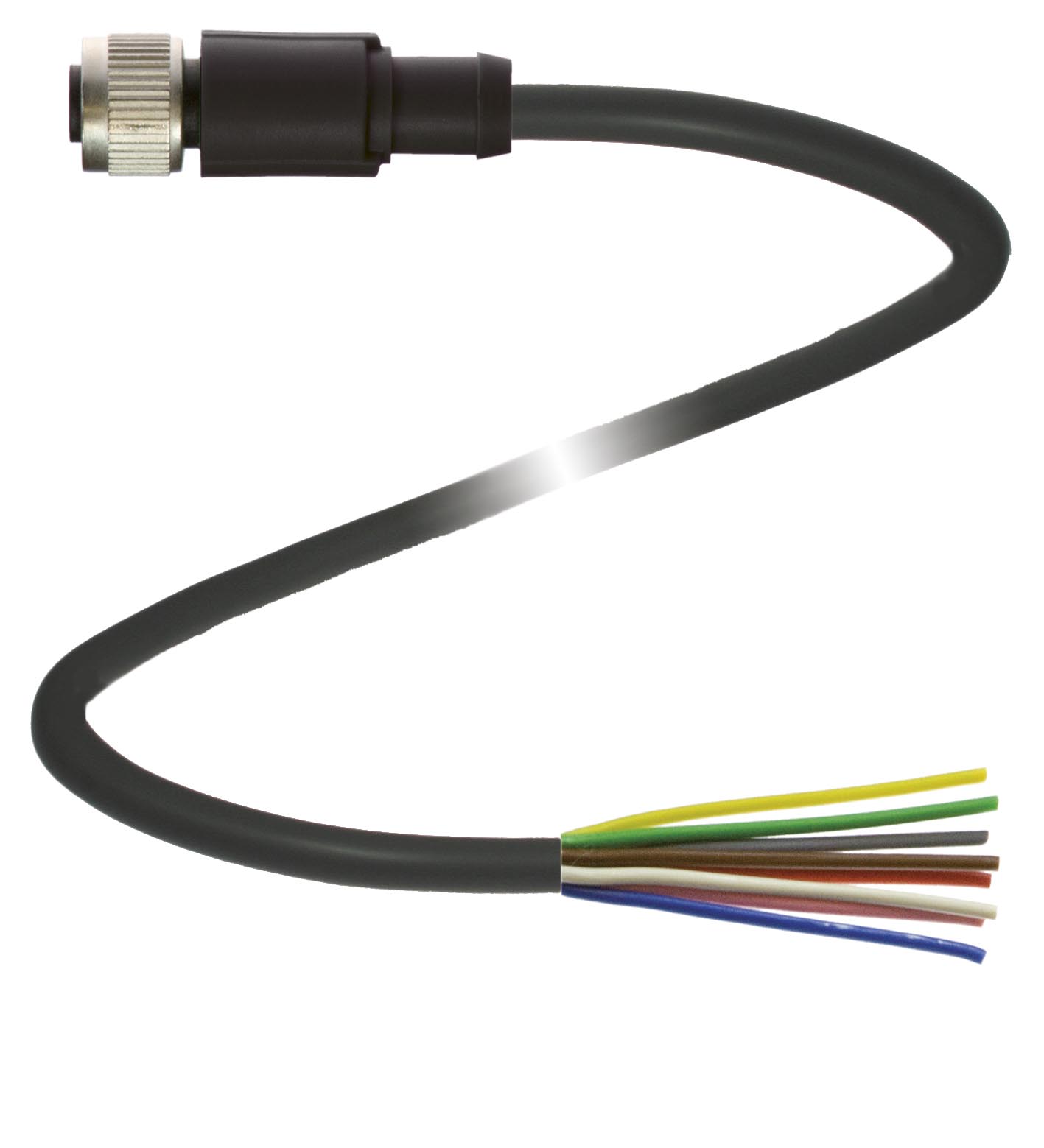 V19-G-BK2M-PUR-IEC