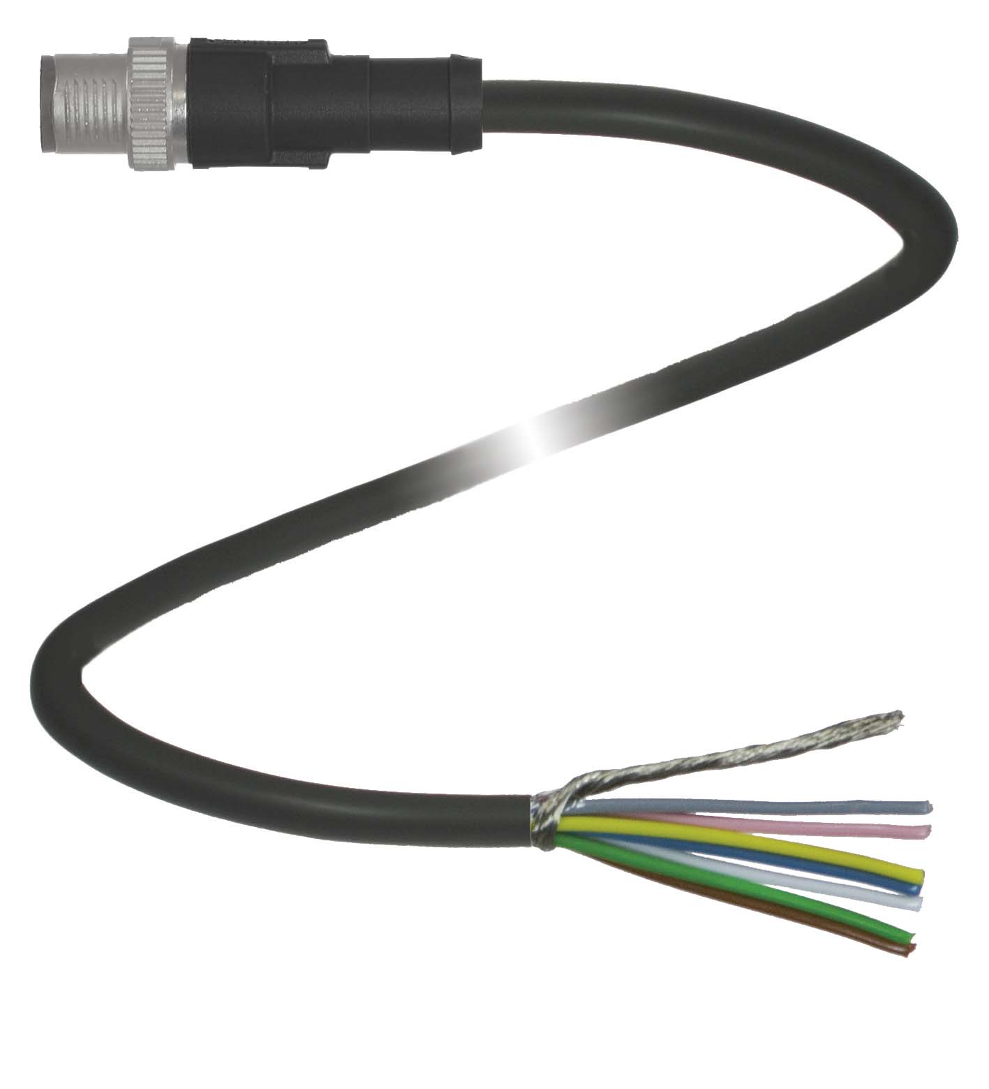V19SY-G-BK5M-PUR-ABG