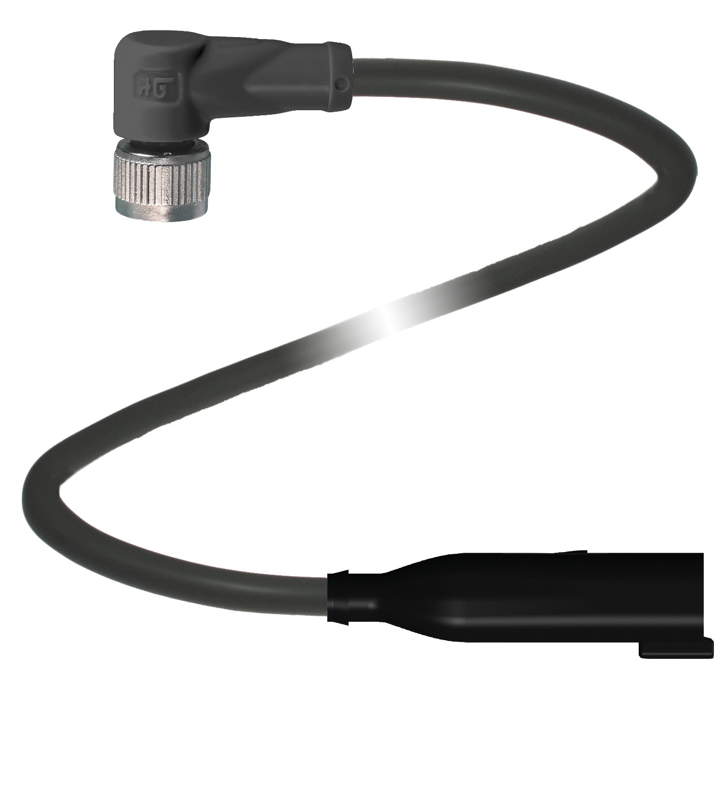 V11-W-BK0,3M-PUR-O1-DT4P-G-Y31