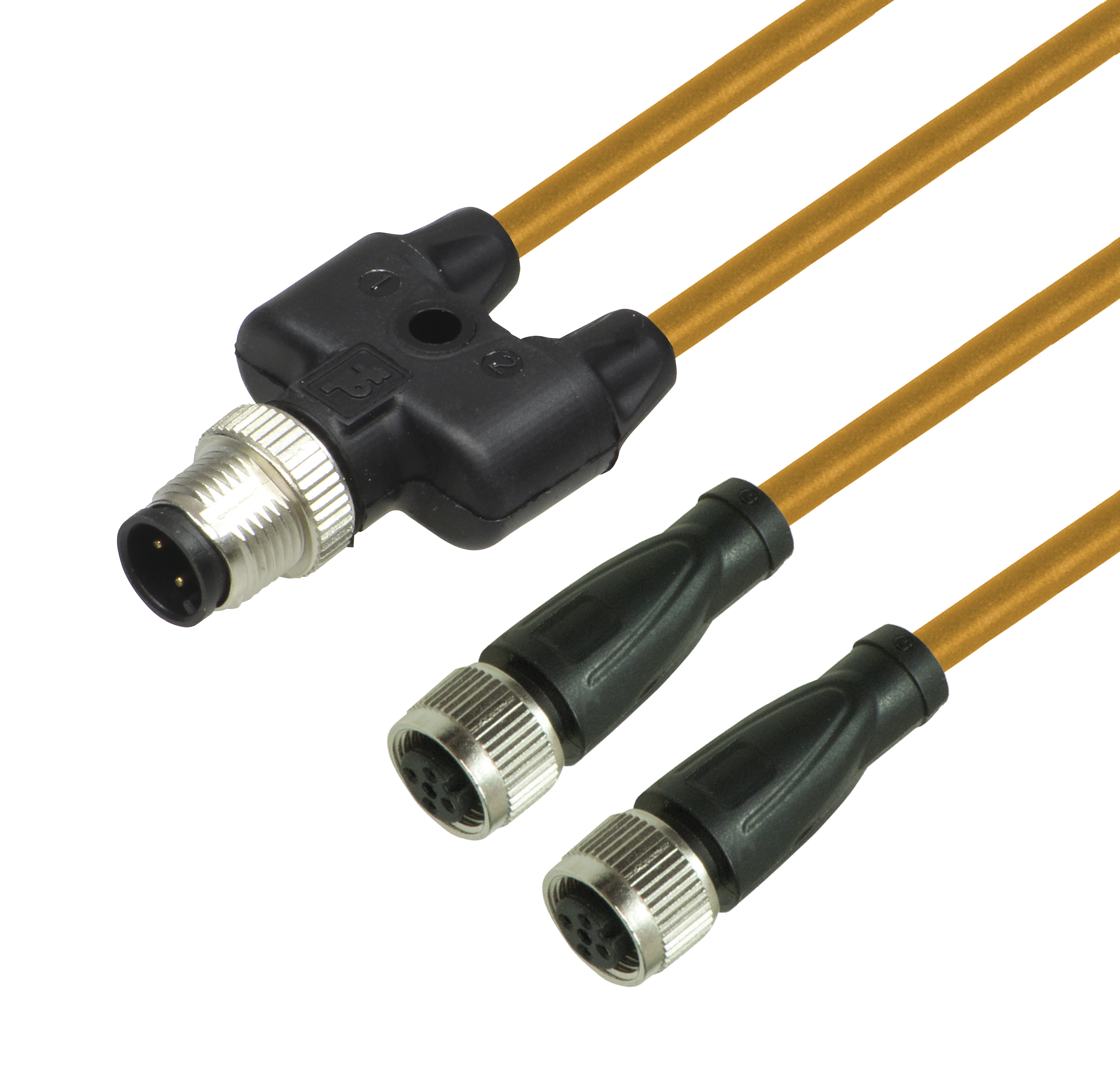 V1-G-OR0,6M-POC-T-V1-G