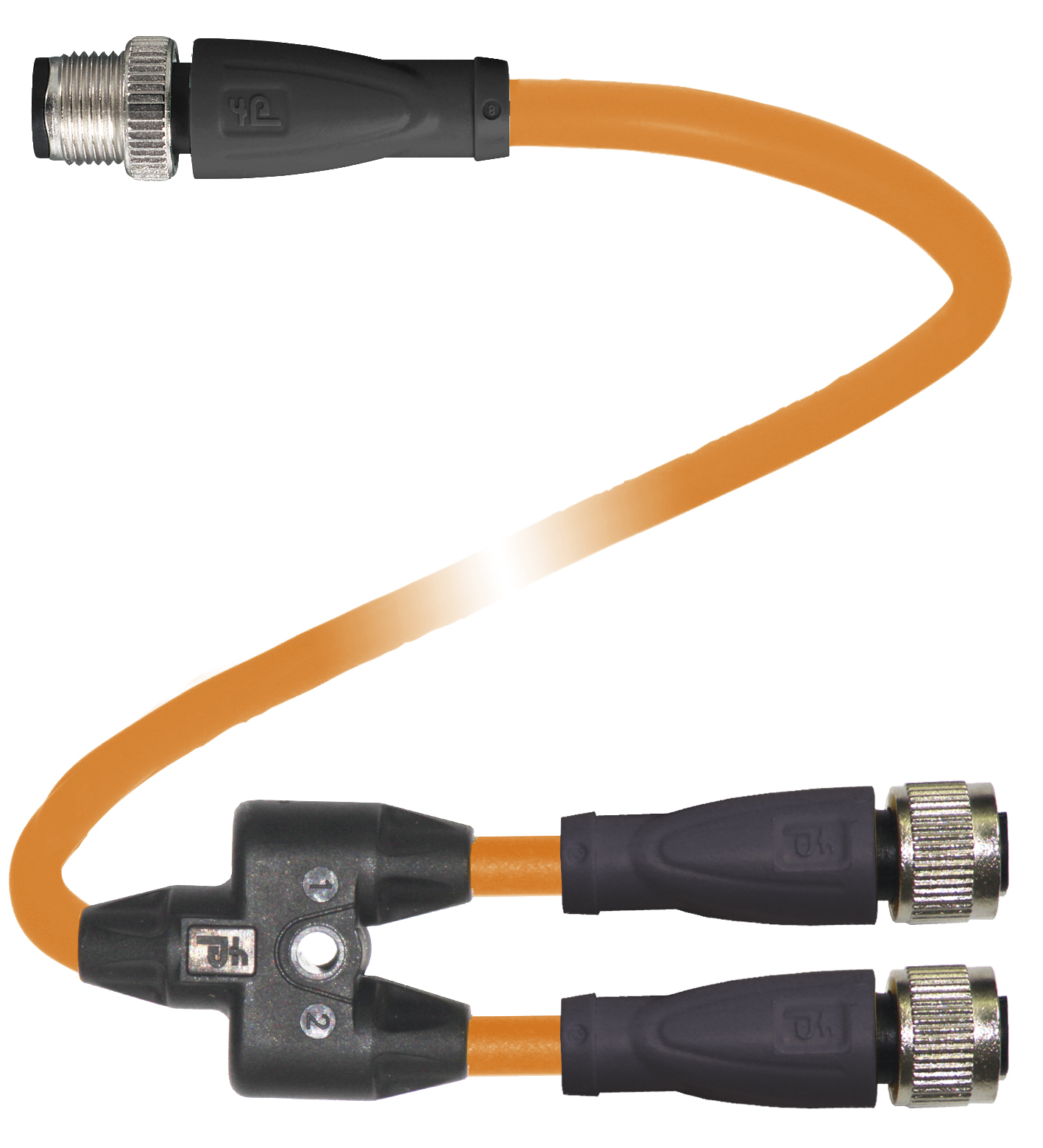 V1-G-OR0,3M-POC-T-0,6M-V1-G