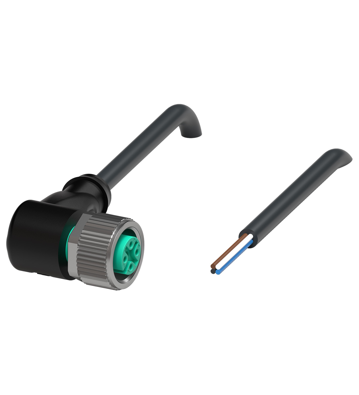 V1-W-BK15M-PUR-A