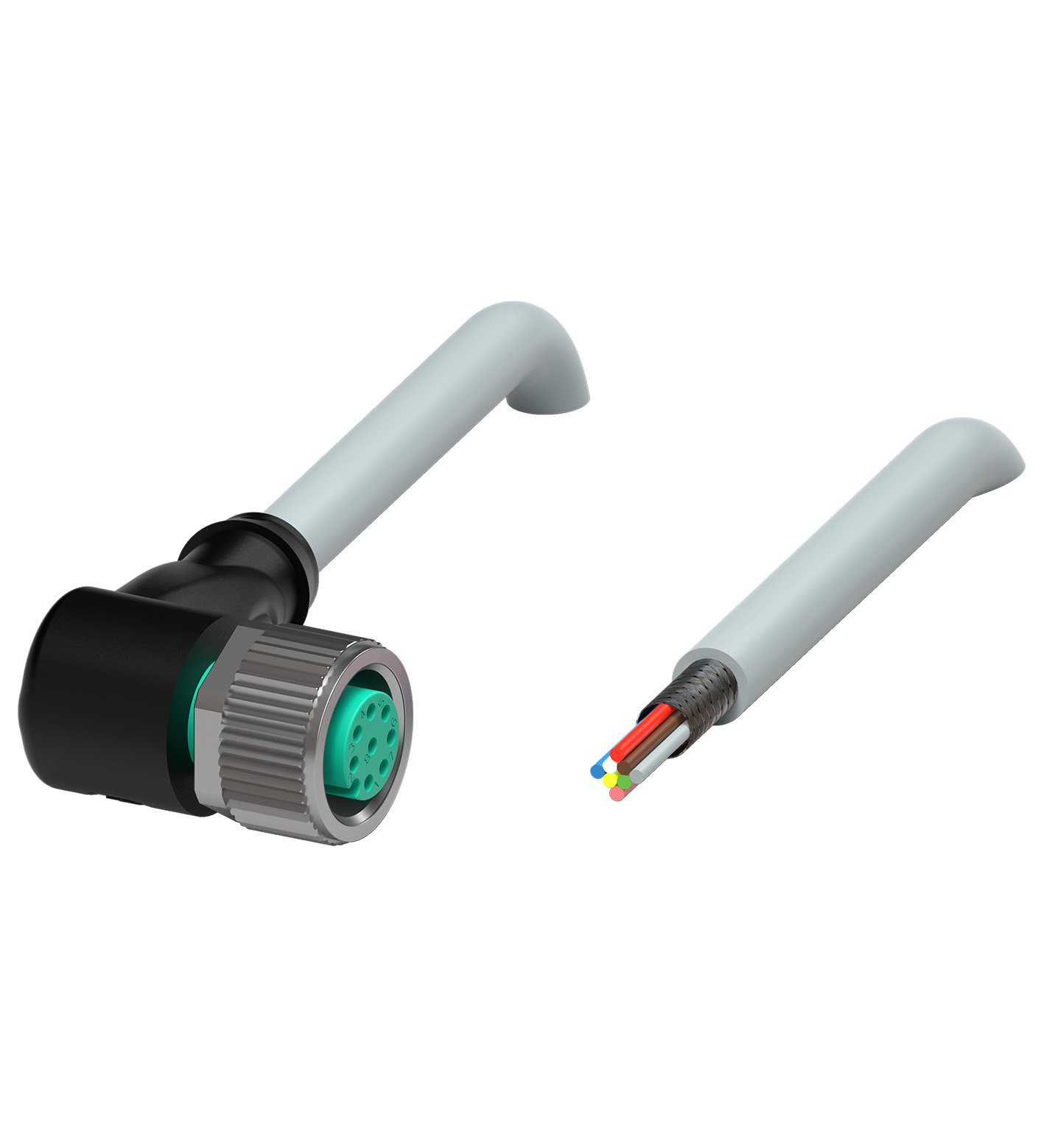 V19-W-2M-PUR-ABG