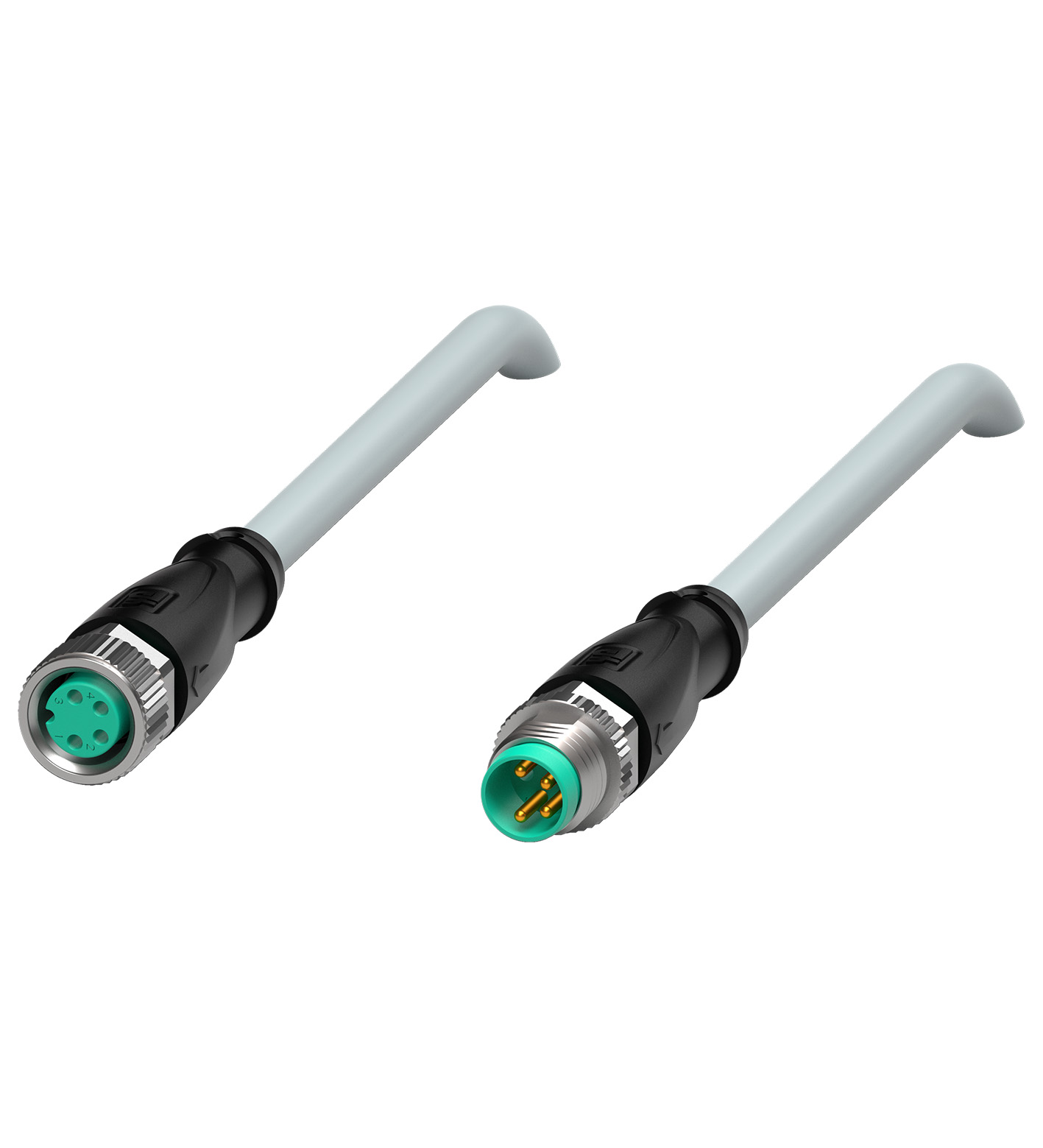 V31-GM-1M-PUR-V31-GM