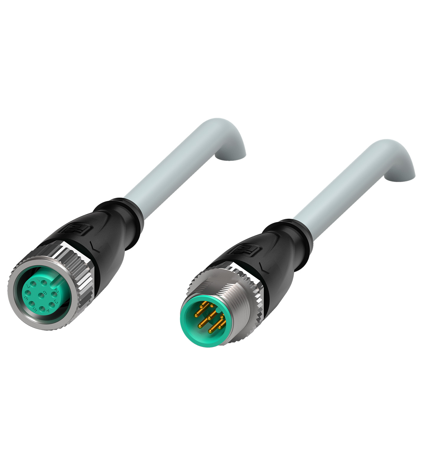 V19-G-2M-PUR-ABG-V19-G