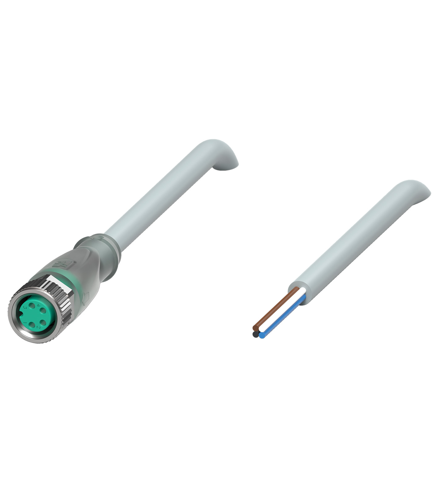 V31-GM-A2-2M-PUR