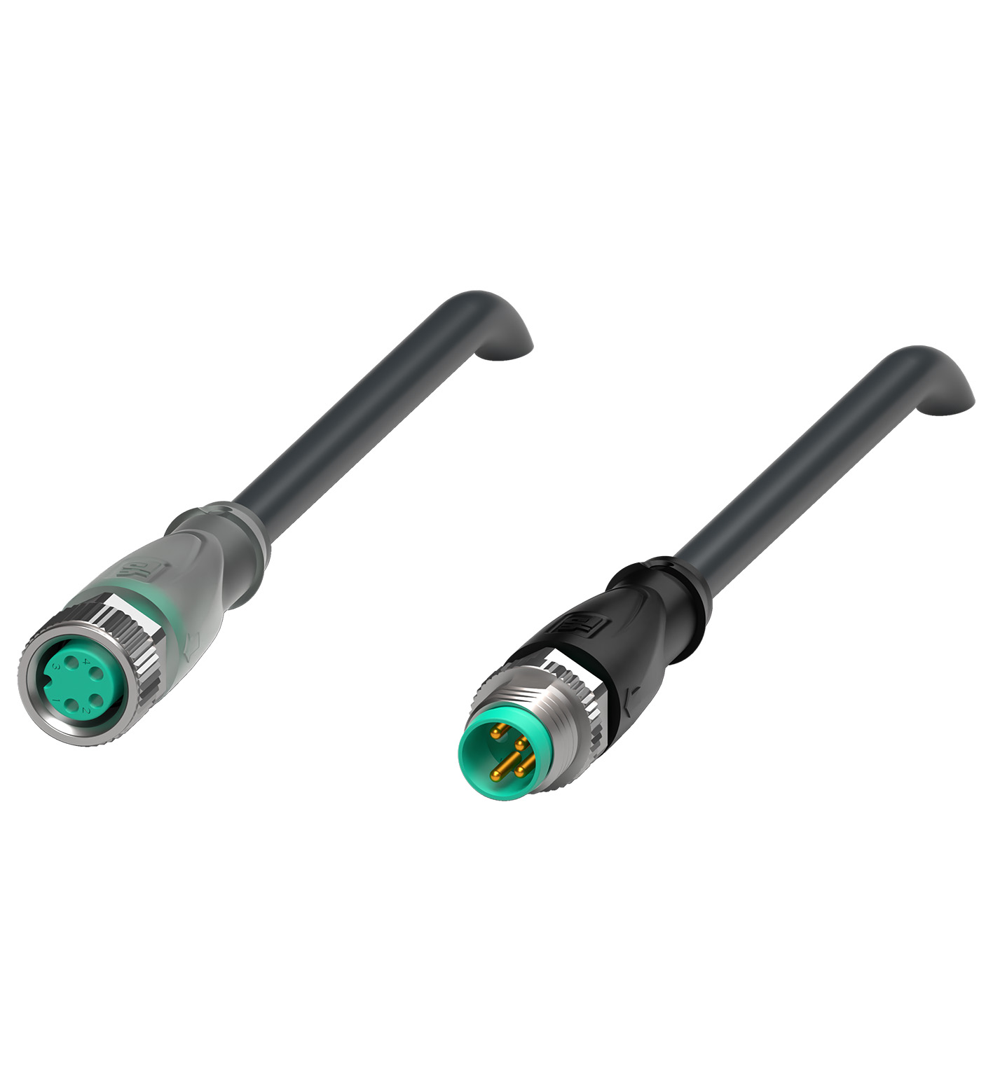 V31-GM-A2-BK0,6M-PUR-U-V31-GM