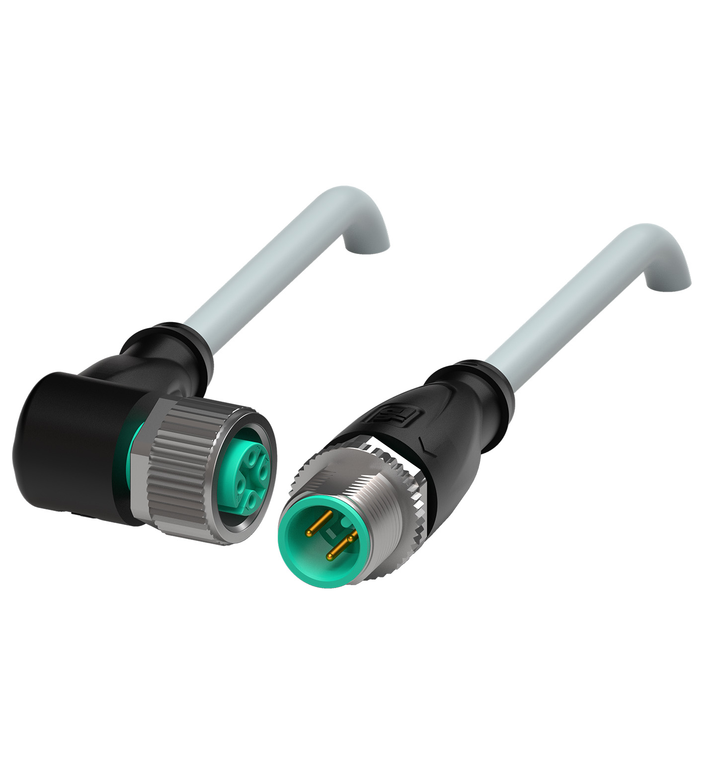V11-W-2M-PUR-V11-G