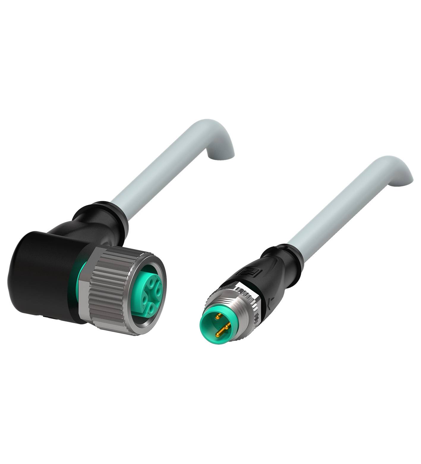 V11-W-2M-PUR-V3-GM