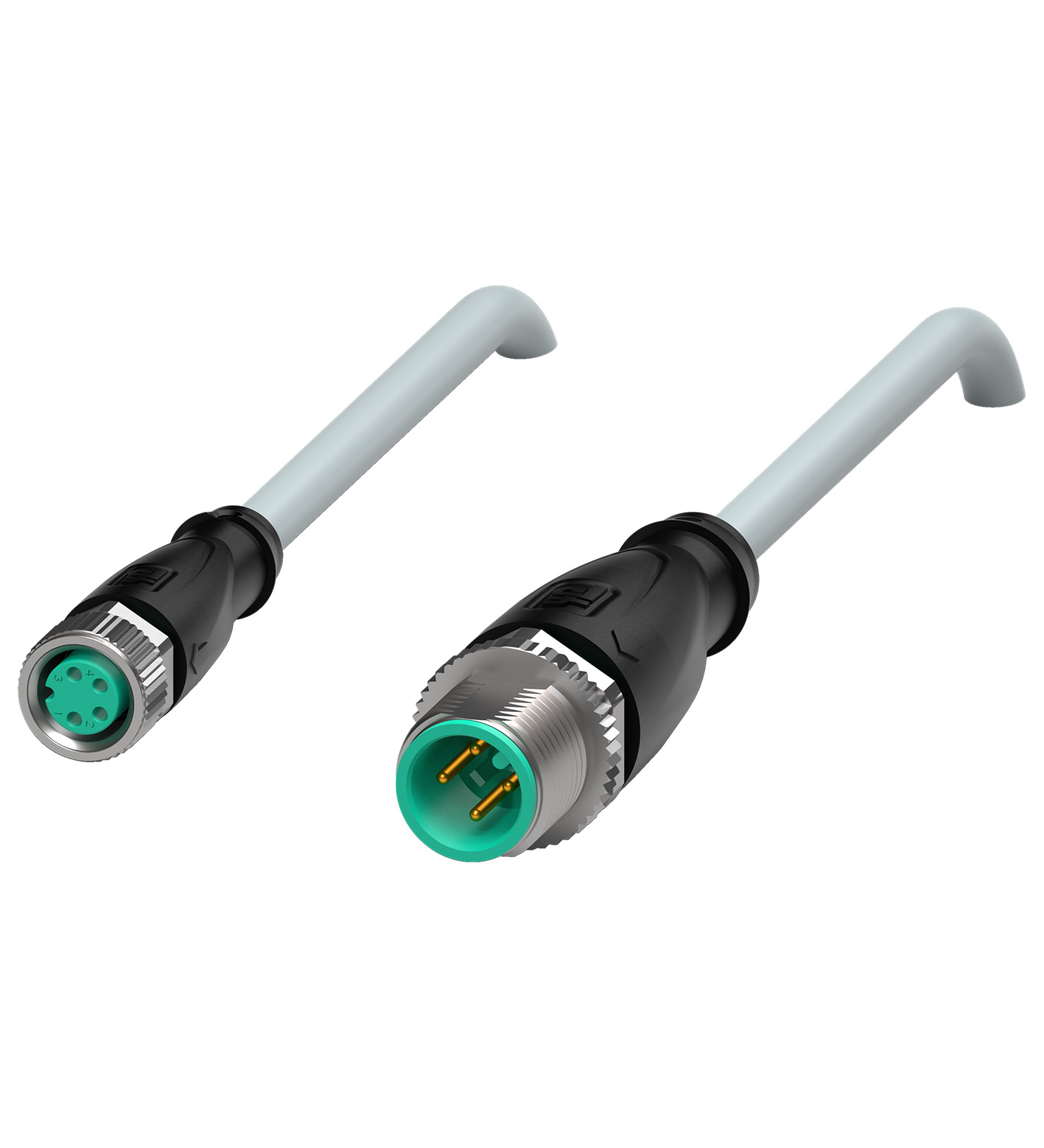 V31-GM-1M-PUR-V1-G