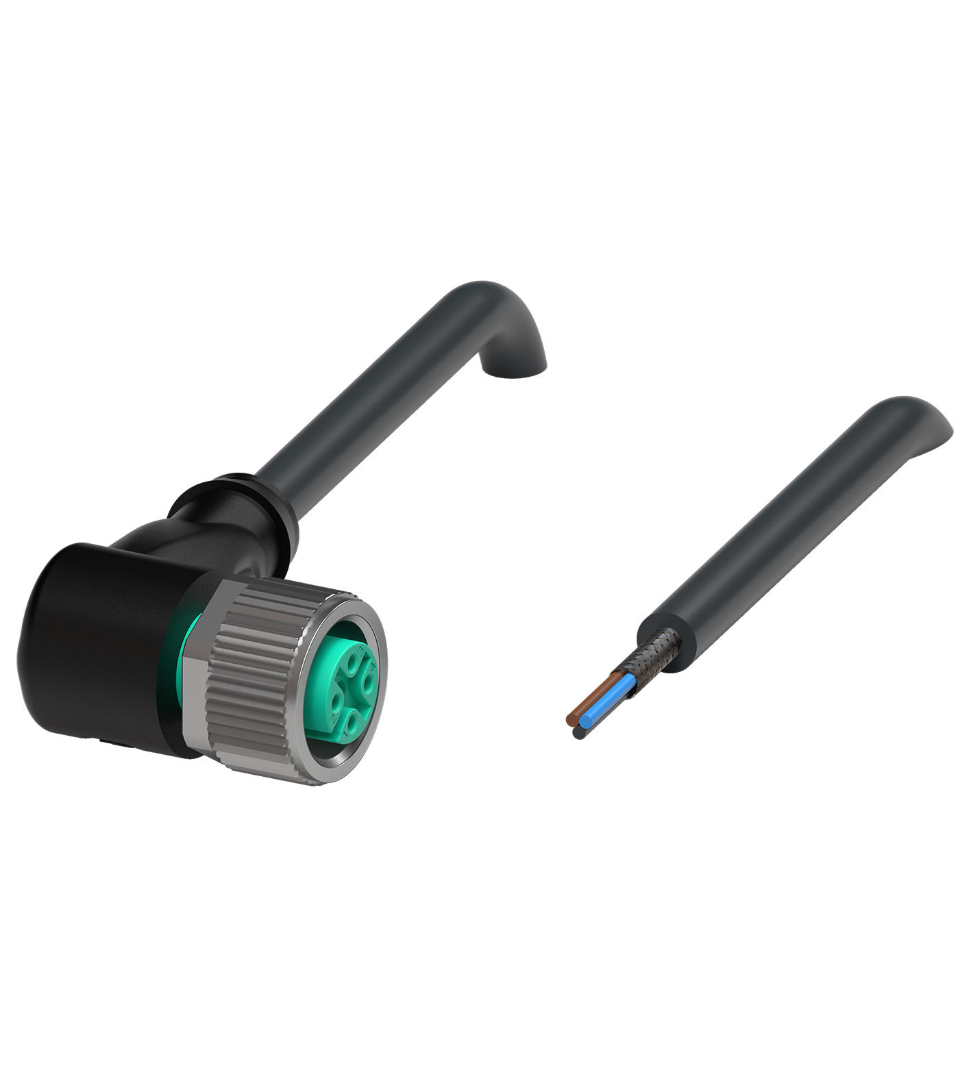 V11-W-BK25M-PUR-ABG